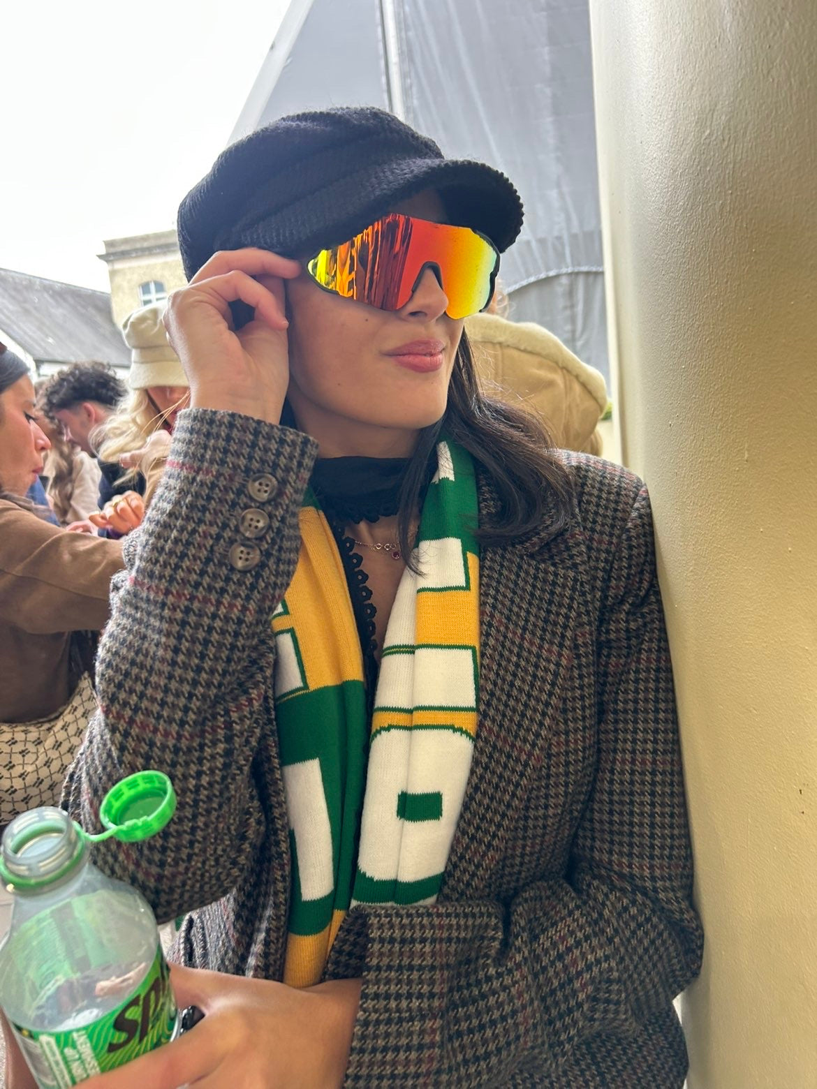 Fact To File - The New Lion