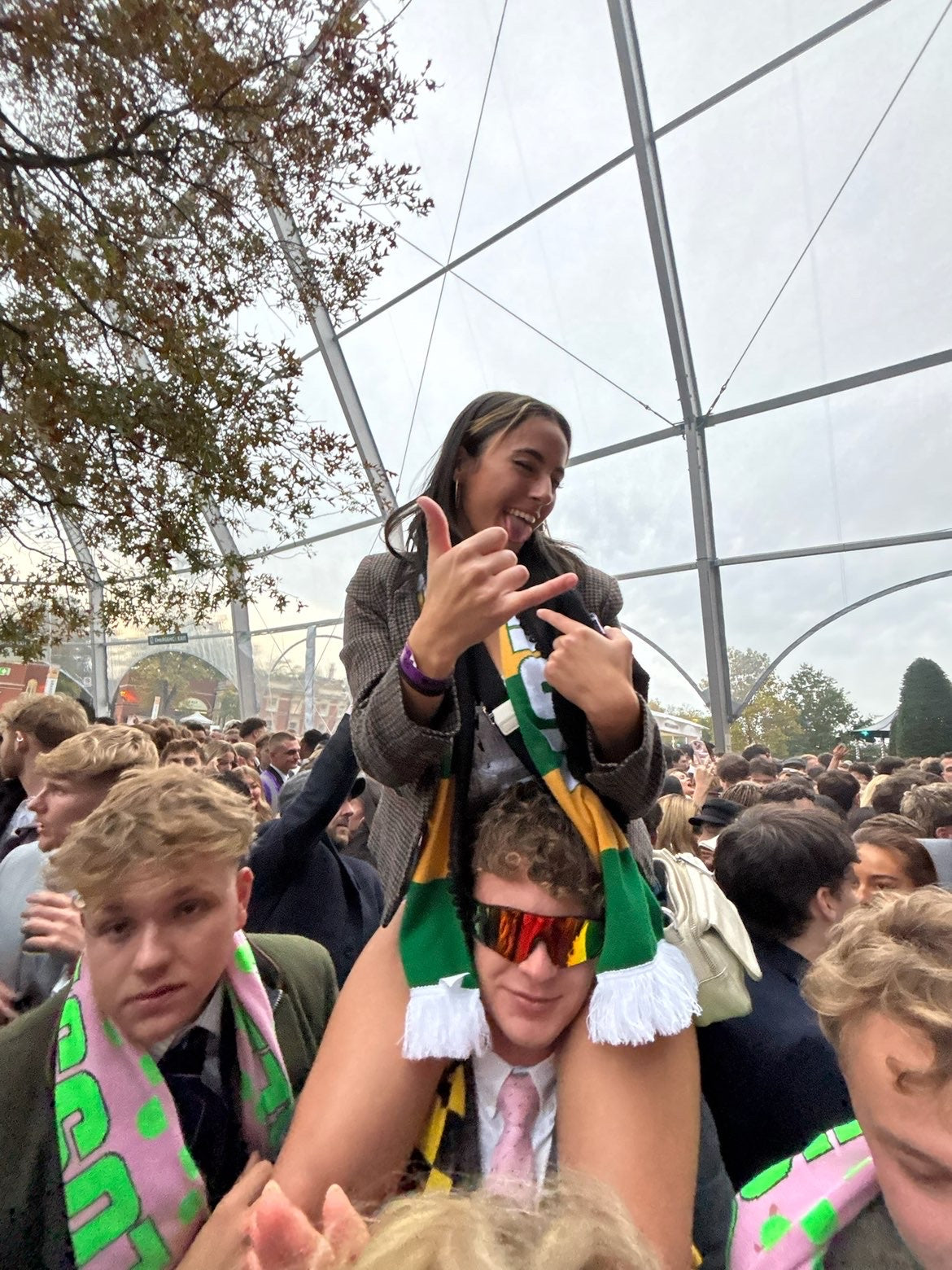 Fact To File - The New Lion